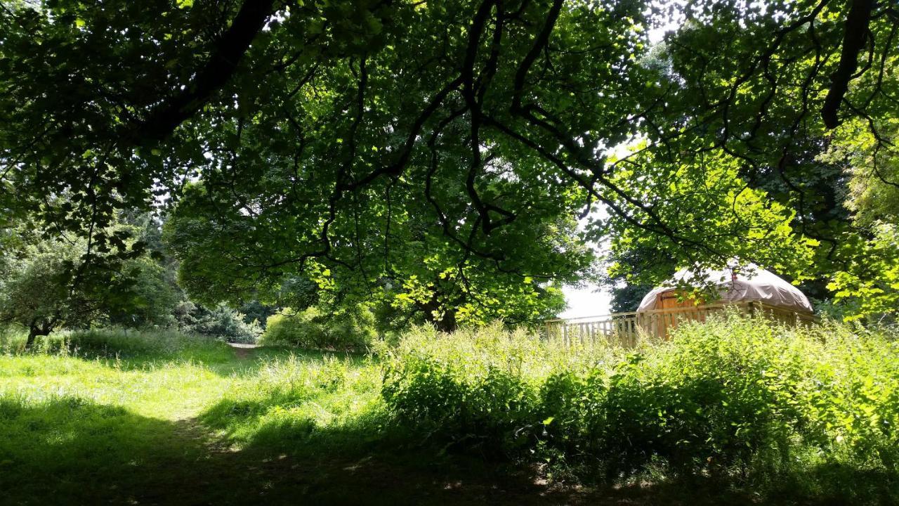 Rock Farm Slane - Glamping Hotel Buitenkant foto